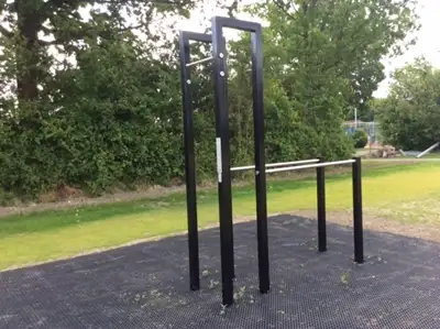 IJSLANDER BV : BARRES DE DIPS BARFORZ, ref 1617