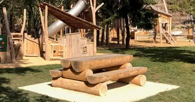 PRO URBA : TABLE PIQUE-NIQUE ROBIN, ref TP_ROBIN_C