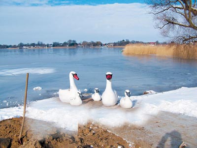 SPIELART : SCULPTURE FAMILLE DE CYGNES, ref N100