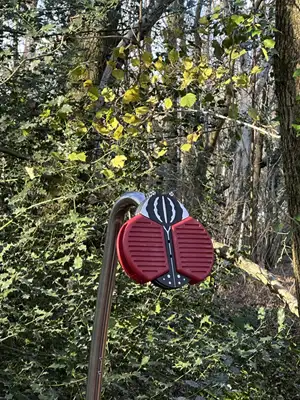 COLÉOPTÈRE FLEUR - à sceller