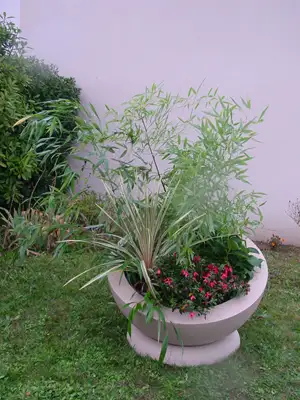 POTERIE AUVA - 80x40cm