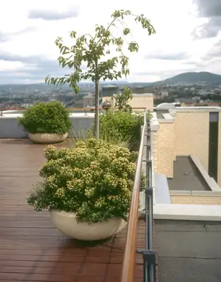 POTERIE BOBOLI - 90x38cm