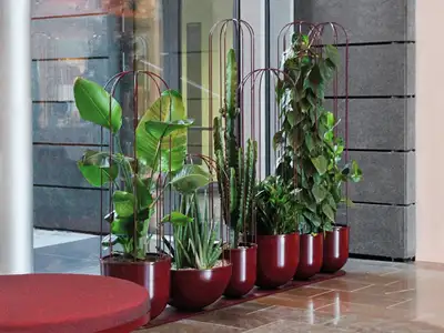 JARDINIÈRES CACTI AVEC TREILLIS - modèle 1