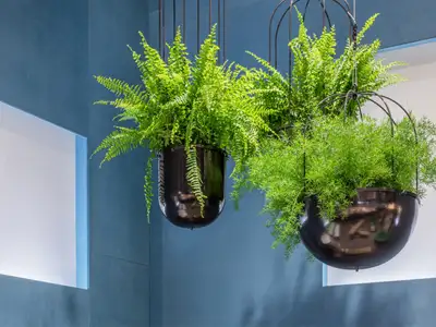 NOLA : JARDINIÈRE SUSPENDUE CACTI - ø40cm, ref Ö16-43/40