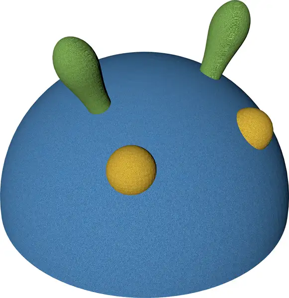 TÊTE DE CHENILLE ø695mm - EPDM coloris spécial KRAIBURG RELASTEC