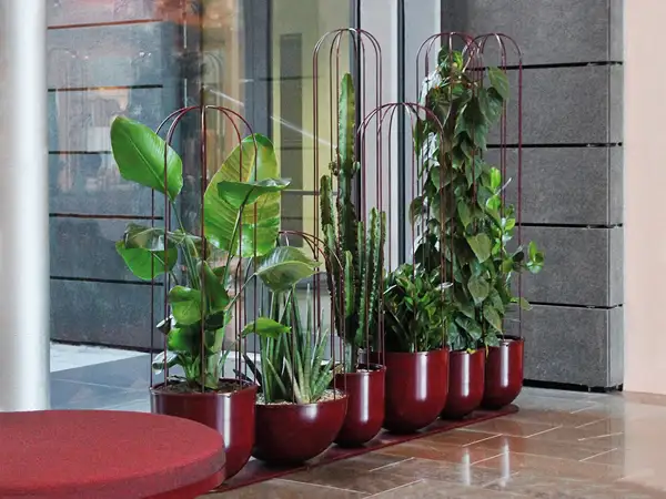 JARDINIÈRES CACTI AVEC TREILLIS - modèle 1 NOLA