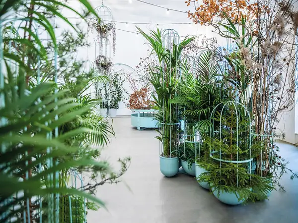 JARDINIÈRES CACTI AVEC TREILLIS - modèle 2 NOLA